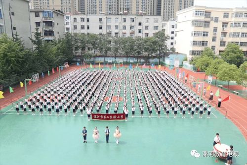 喜讯 漯河市第二实验小学荣获 全国文明校园 称号