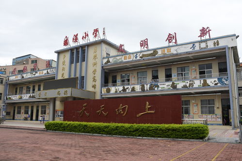 深圳市龙岗区平湖街道鹅溪小学