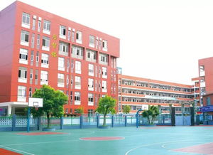 福建省教育厅领导莅临福鼎市桐北中心小学调研