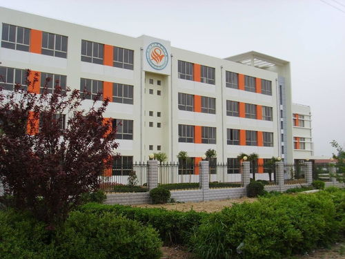 大丰市三龙中心小学