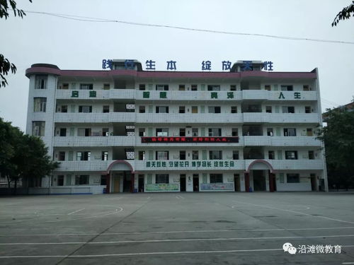 自贡市沿滩区黄市镇中心小学 践行生本教育,绽放儿童天性