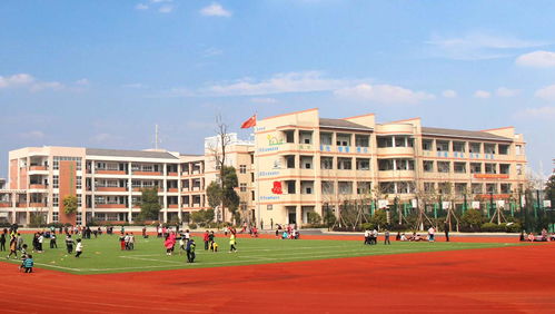 临安市青山小学