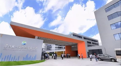 杭州湾新区与宁波奉化区 区域发展新篇章，点亮江口中心小学教育之光